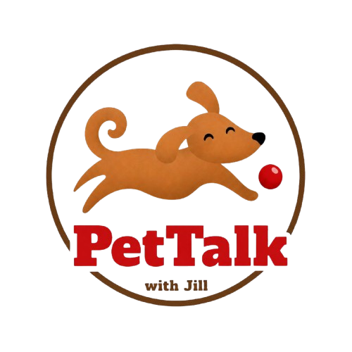 logo removebg preview