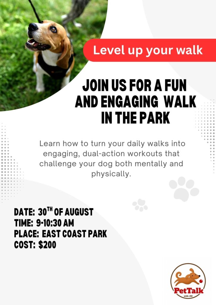 level up your walk without link