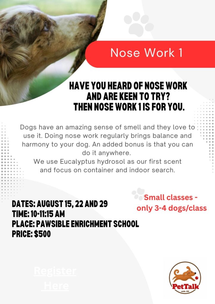 nose work 1 august 2026 without link
