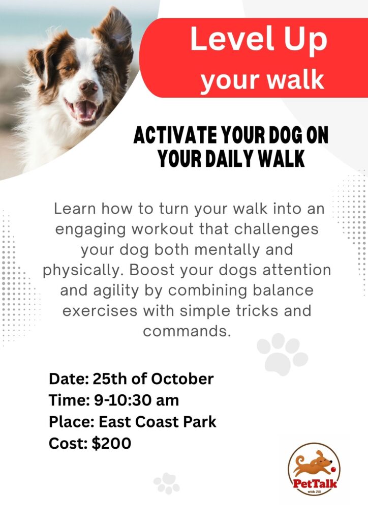 level up your walk 2 without link