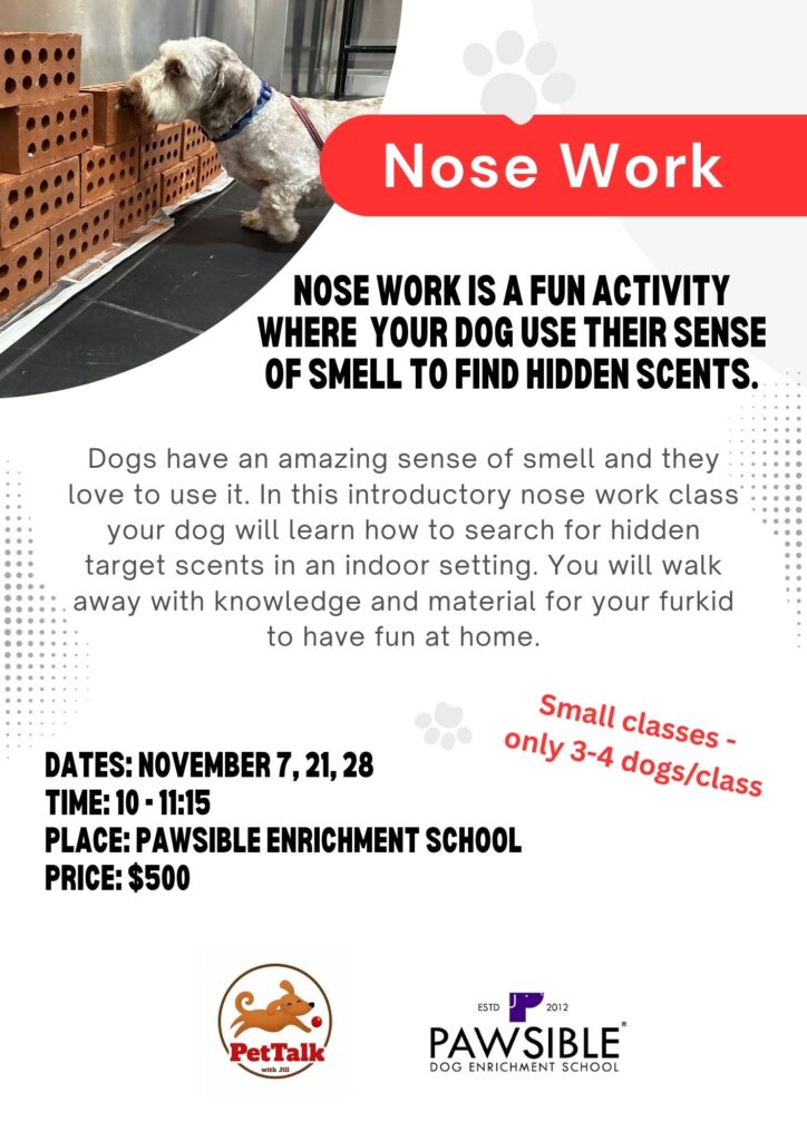 nose work 1 november 2026 without link