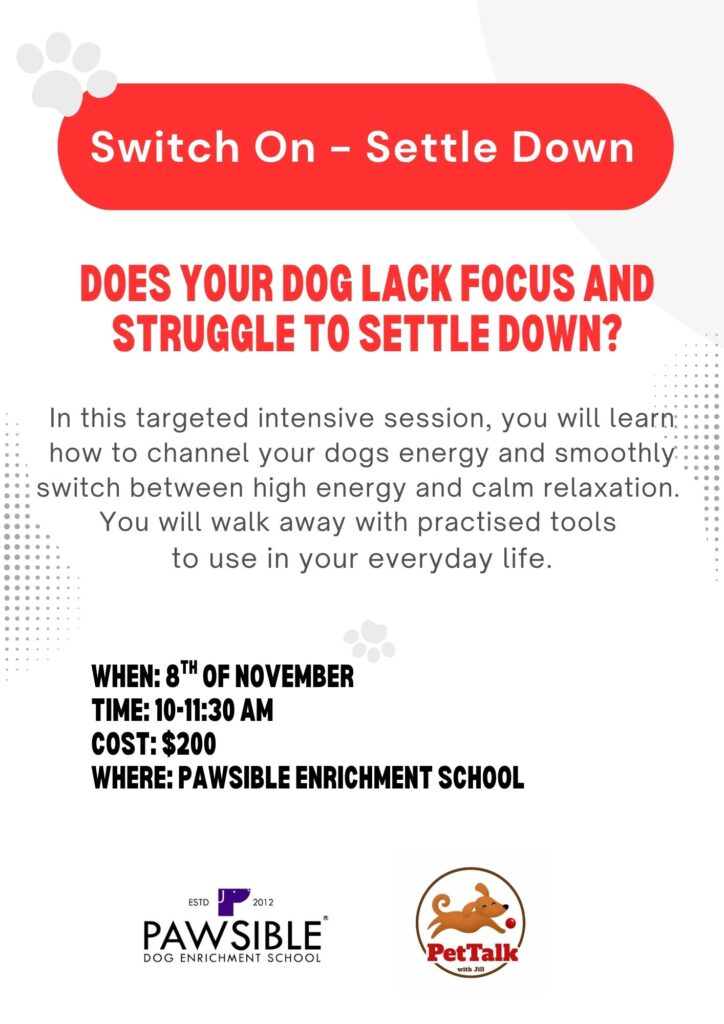 switch on settle down without link